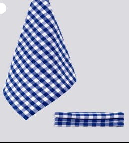 Theedoek blauw geblokt, 50 x 70 cm