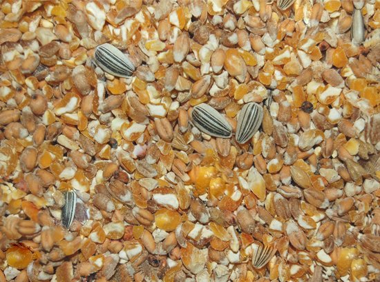 Scharrelgraan, 2 kg