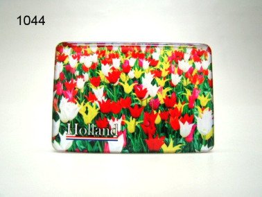 Tulpen magneet