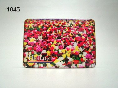 Tulpen magneet