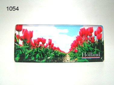 Tulpen magneet