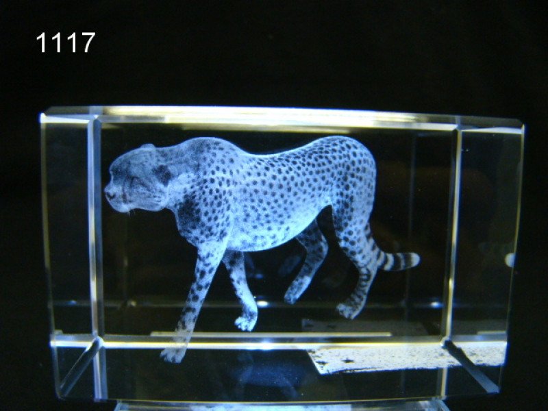Jachtluipaard glasblokje