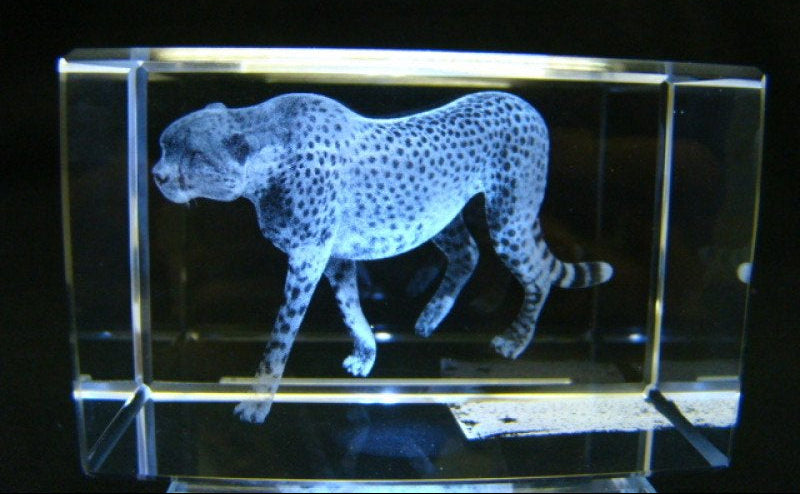 Cheetah glasgravure 3D, 8 x 5 cm