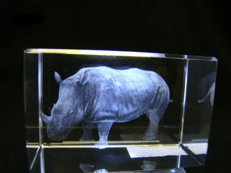 Neushoorn glasblokje, lasergravure 3D 8 x 5 cm