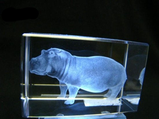 Nijlpaard glasgravure 3D, 8 x 5 cm