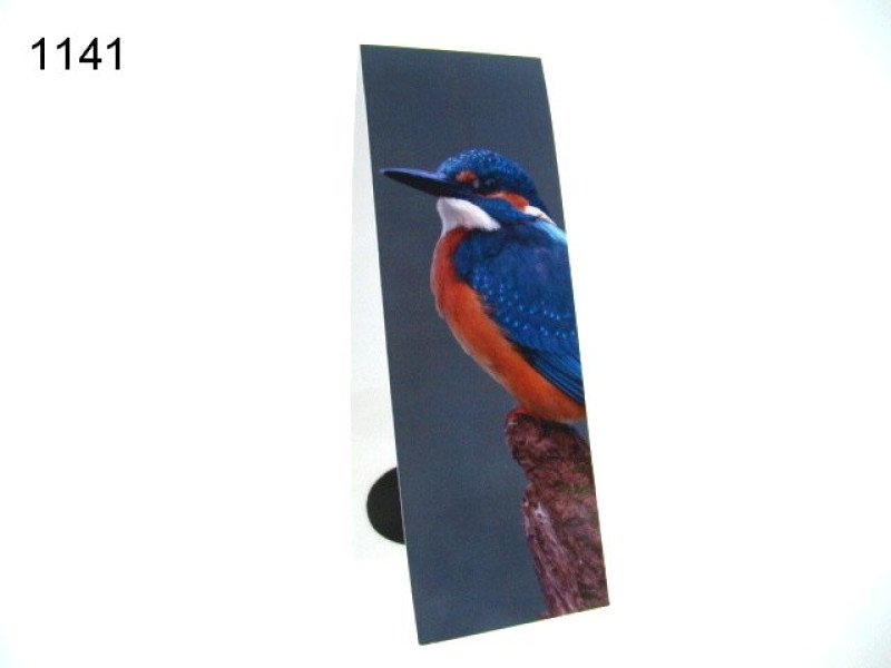 IJsvogel, magnetische boekenlegger