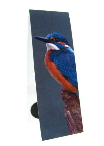 IJsvogel, magnetische boekenlegger