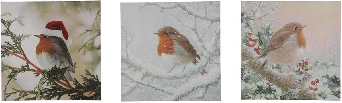 Roodborst, schilderij met ledverlichting