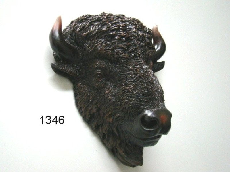 Bison kop
