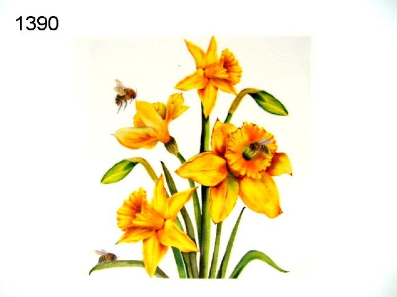 Bee-tanical bij narcis onderzetter
