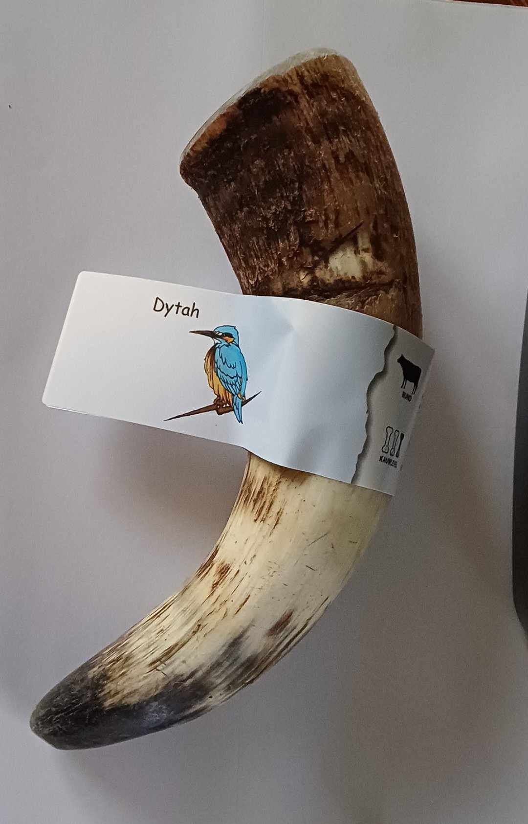 Cattle horn, M
