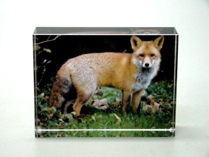 Vos glasblok decoratie 8 x 6 cm