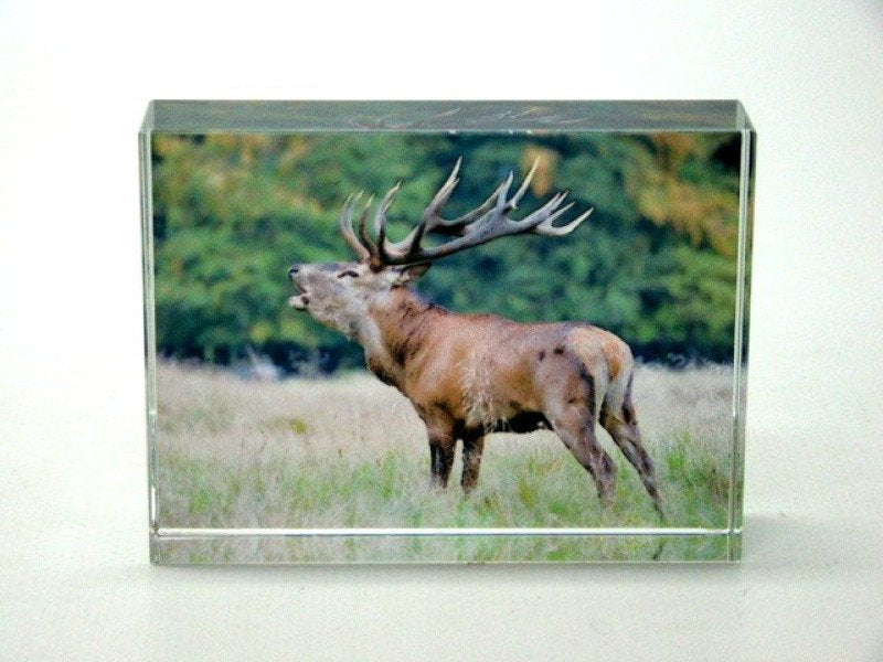 Edelhert glasblokje decoratie, 8 x 6 cm