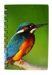IJsvogel houten notitieboekje 15 × 10 cm