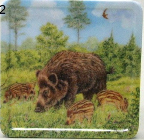 Wild zwijn onderzetter, 10 x 10 cm