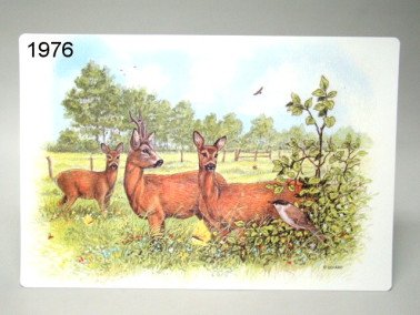 Ree placemat