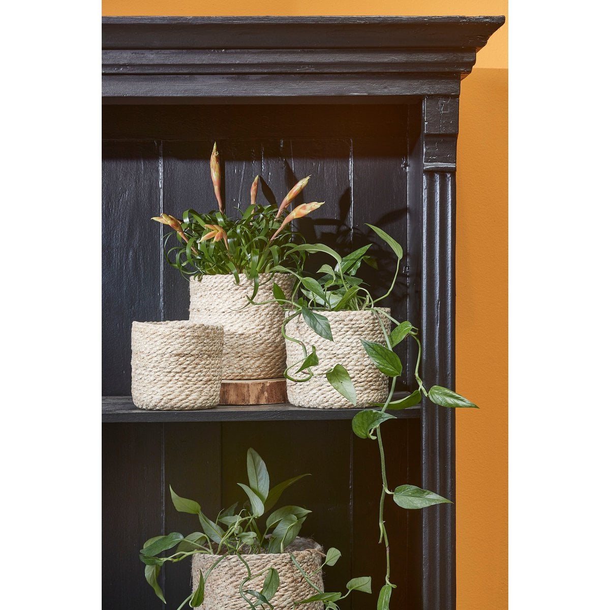 Atlantic plantenmanden, jute, set van 3
