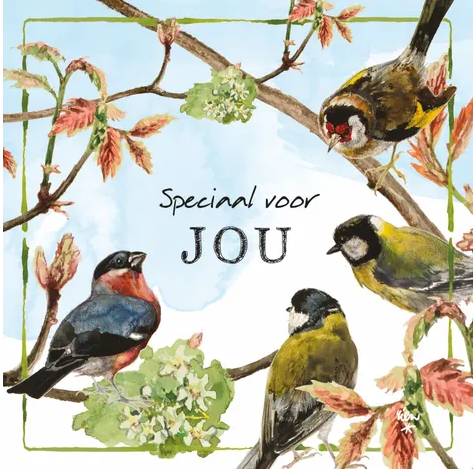 Rien Poortvliet Wenskaart – Speciaal voor jou vogels – 13,5 x 13,5 cm