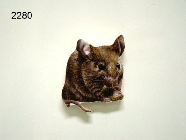 Muis magneet