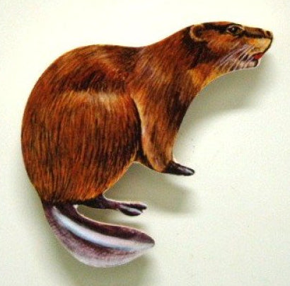 Bever magneet hout, 6 cm