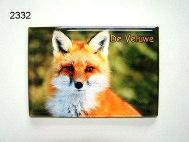 Veluwe/vos magneet