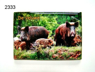 Veluwe/wild zwijn magneet
