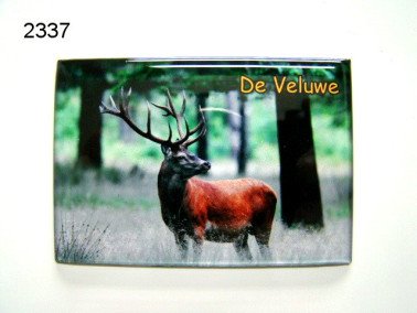Veluwe/edelhert magneet