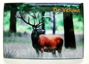 Veluwe/edelhert magneet