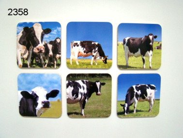Koe onderzetters, 6 stuks