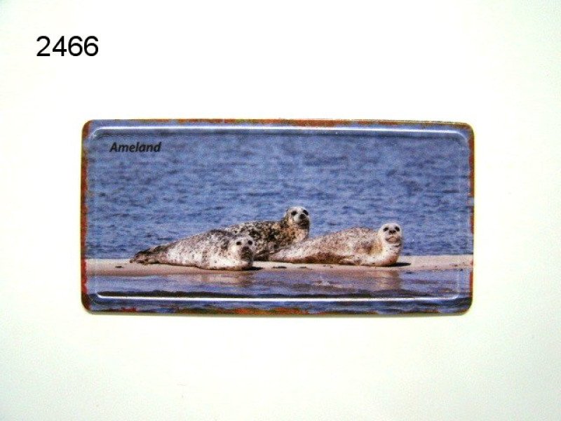 Ameland, zeehonden magneet