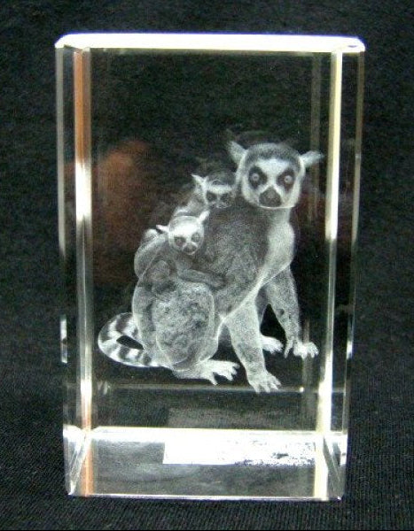 Ringstaartmaki's glasgravure 3D, 8 x 5 cm