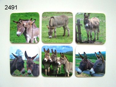 Ezel onderzetters, 6 stuks