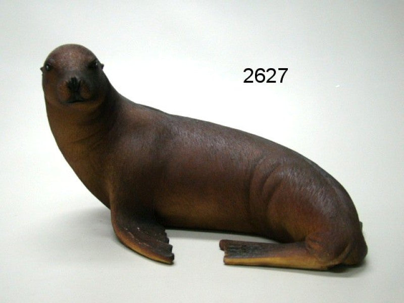 Zeeleeuw, 23 cm