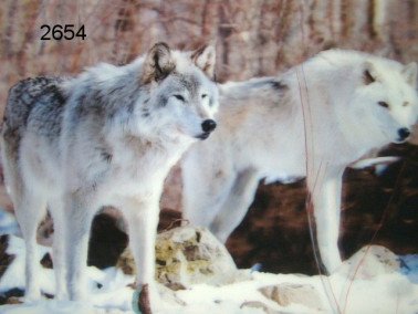 Wolf, 3D placemat