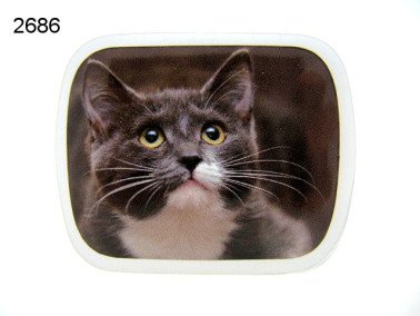 Poes, blikje met pepermunt