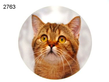 Houten decoratie bruine poes, 15 cm