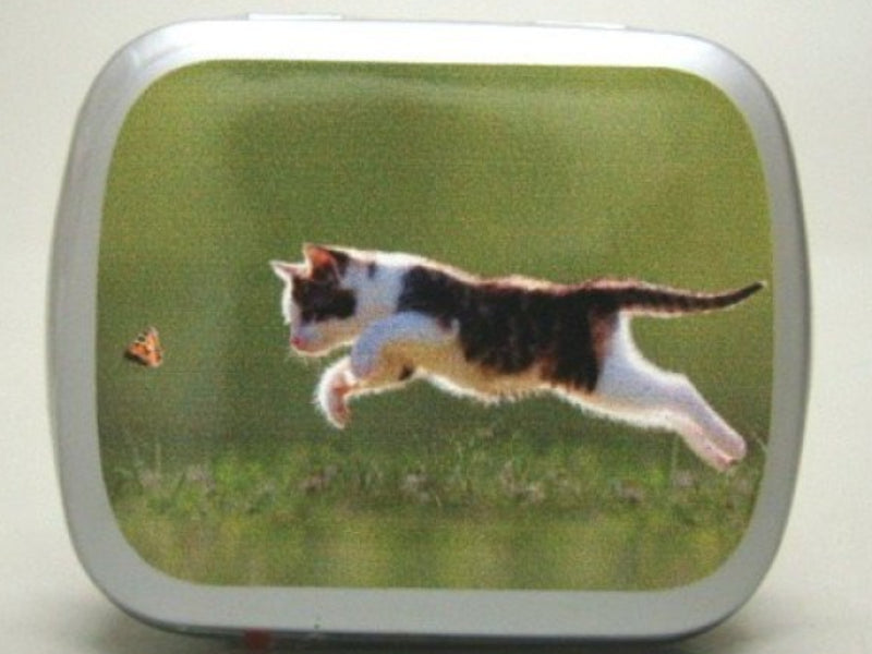 Poes/vlinder, blikje met pepermunt, 14 gram