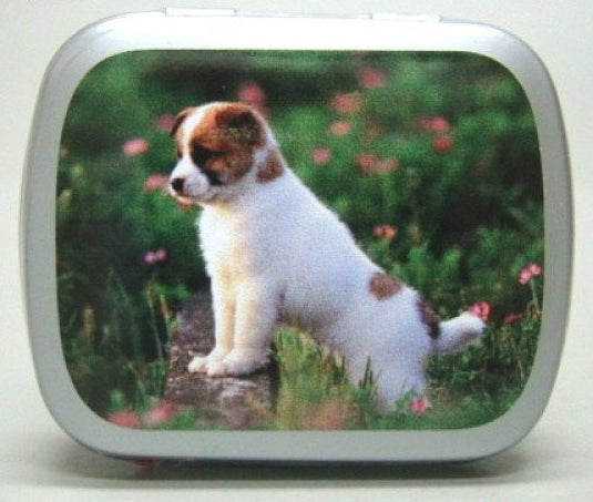 Hond/puppy, blikje met pepermunt, 14 gram