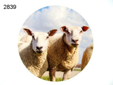Houten decoratie schaap, 15 cm