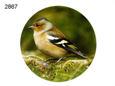 Houten decoratie vink, 15 cm