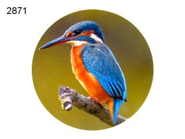 Houten decoratie ijsvogel, 15 cm