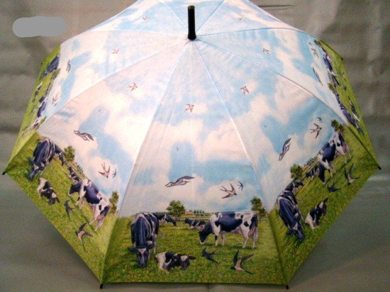 Koe paraplu, 84 cm