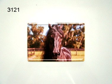 Fries paard magneet, metaal