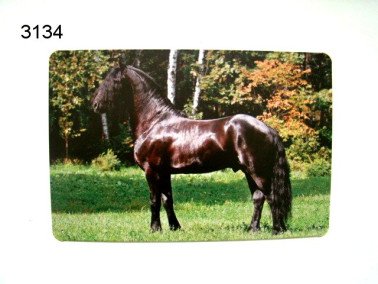 Fries paard metalen wandplaat, 20 x 30 cm