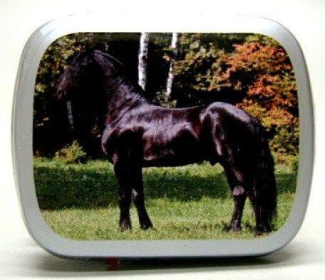 Paard Fries, blikje met pepermunt, 14 gram