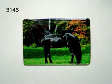 Fries paard magneet