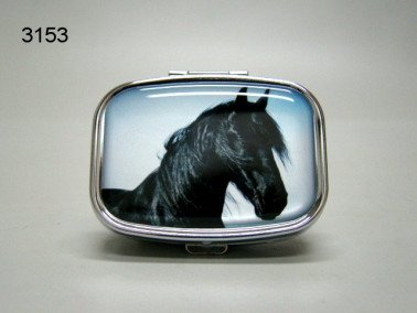 Fries, paard, pillendoosje