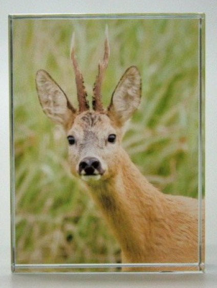 Ree glasblok decoratie 8 x 6 cm