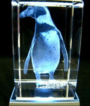 Humboldt pinguïn glasgravure 3D, 8 x 5 cm