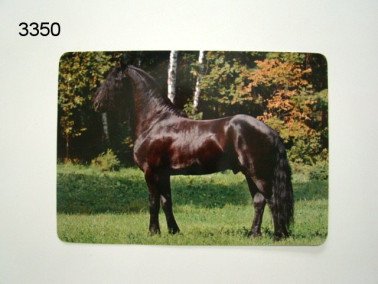 Fries paard placemat